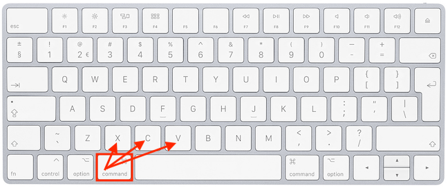 Hold down Command and press X, C, and V to Cut, Copy, and Paste