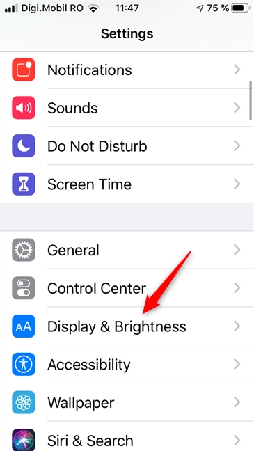 The Display &amp; Brightness entry from the iPhone Settings