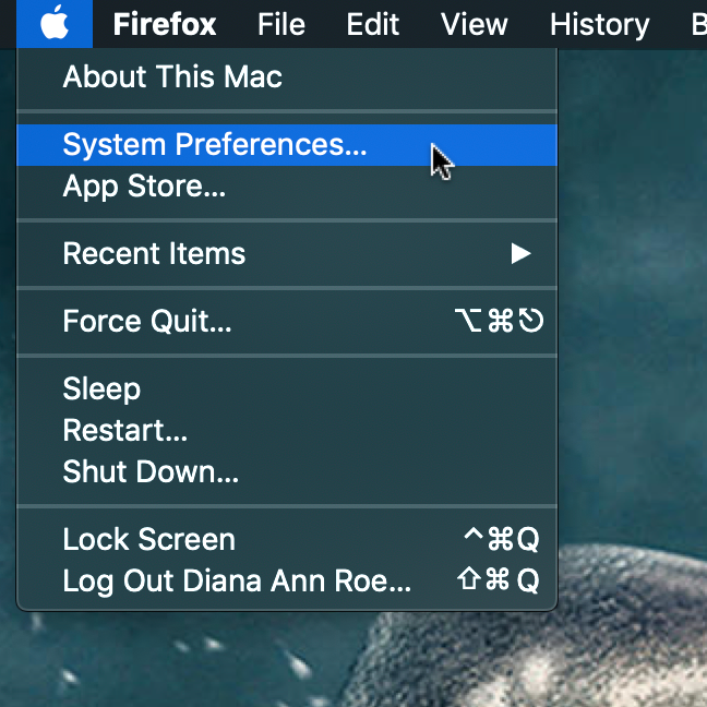 System Preferences in the Apple menu