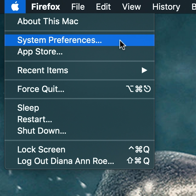 System Preferences in the Apple menu