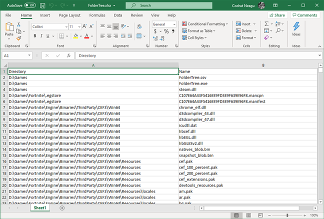 The directory tree exported in Excel