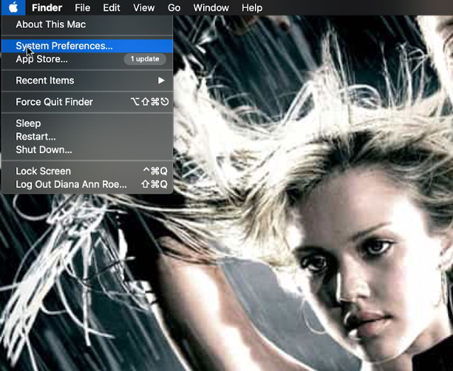 System Preferences in the Apple menu