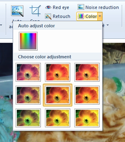 Windows Photo Gallery