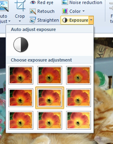 Windows Photo Gallery