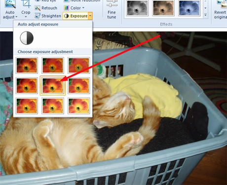 Windows Photo Gallery