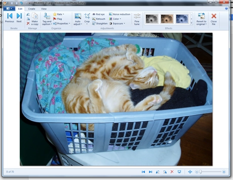 Windows Photo Gallery