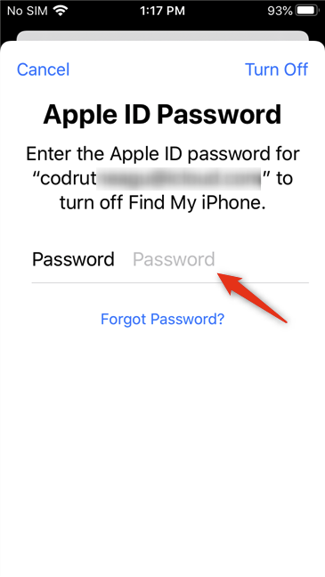 The password of the Apple ID used on the iPhone