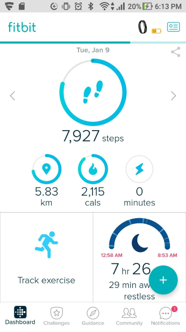 Fitbit Alta