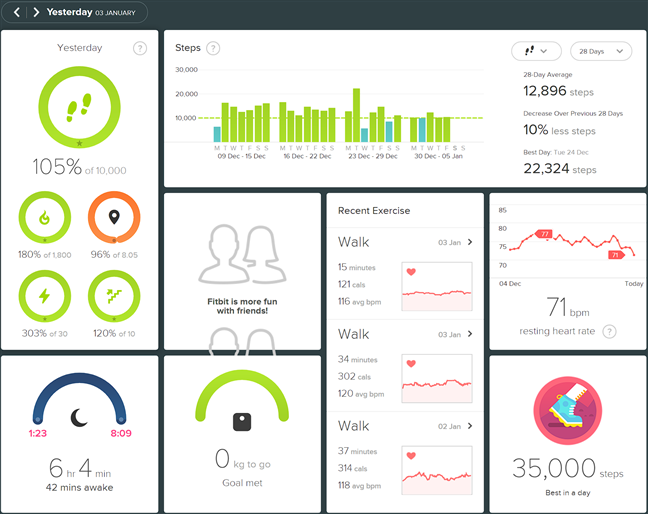 The web-based Fitbit dashboard