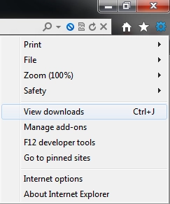 Internet Explorer 9