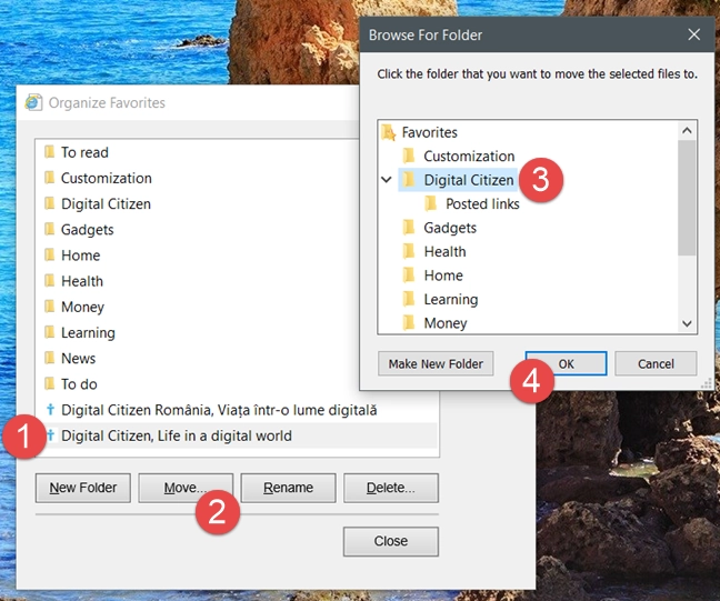 Internet Explorer, favorites