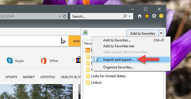 Internet Explorer, Windows, bookmarks, import, export