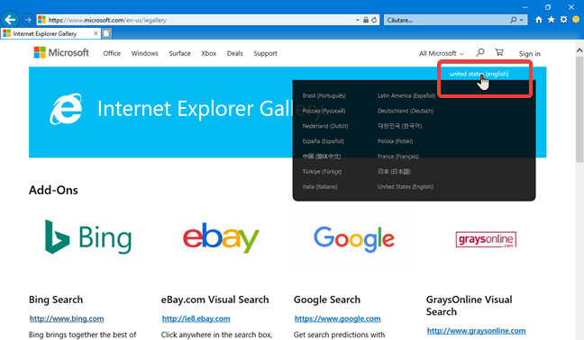 How to change the language used for the Internet Explorer Gallery