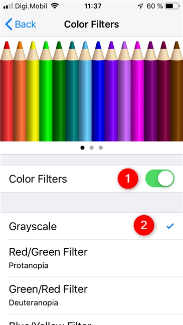 Enabling the Grayscale Color Filter on an iPhone