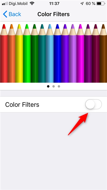 The Color Filters switch in iOS