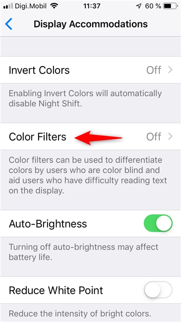 The Color Filters entry in iOS