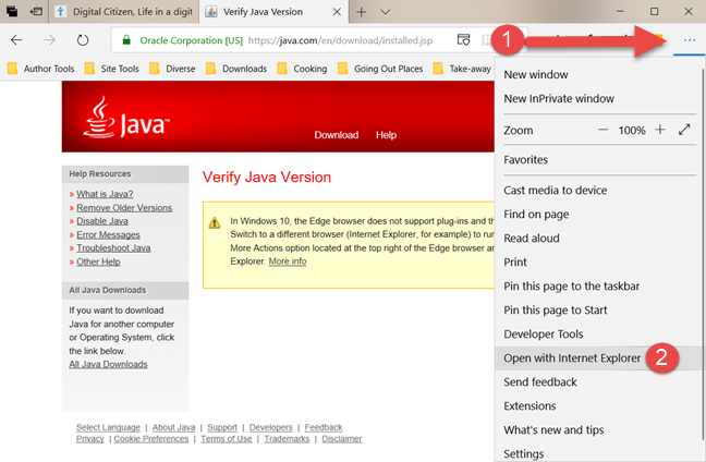 Java, web browsers, enable