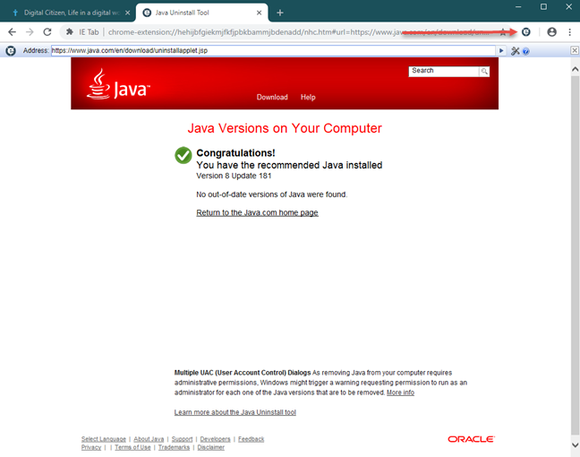 Java, web browsers, enable