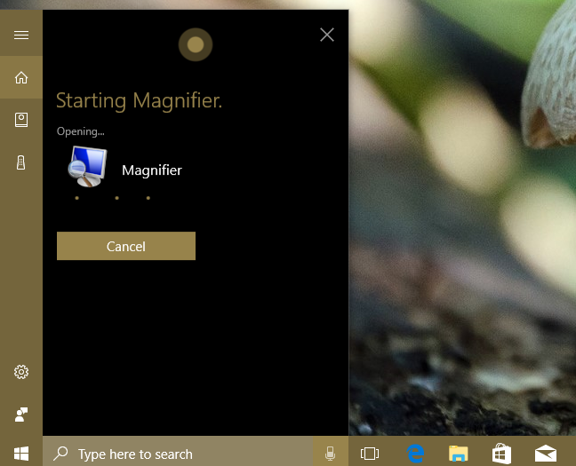 Magnifier, Windows