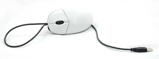 Mouse