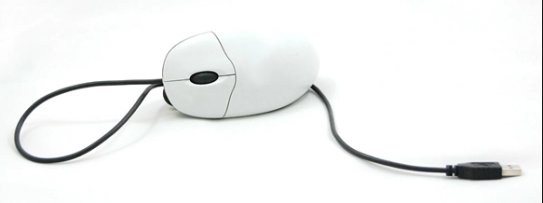 Mouse