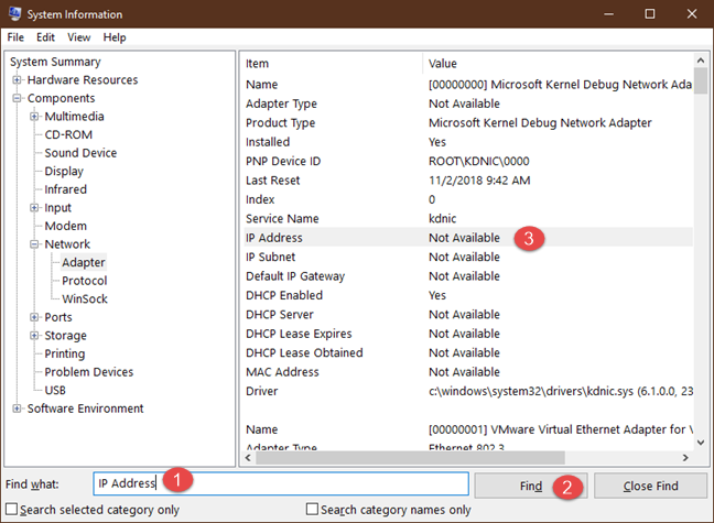 Search for the IP Address in System Information for Windows
