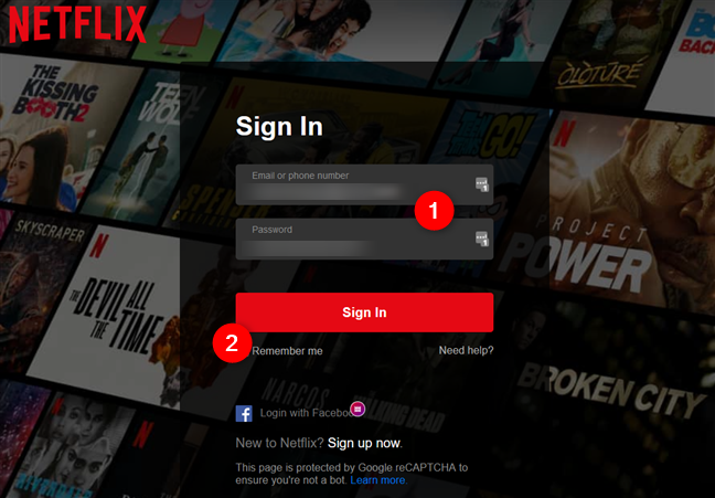 Enter the Netflix credentials