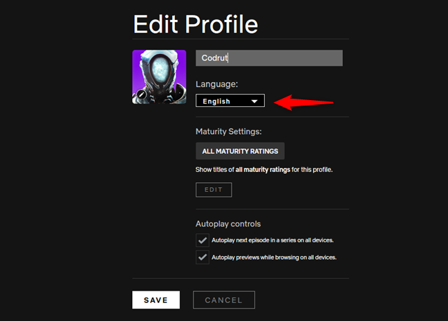 The Language setting of a Netflix profile