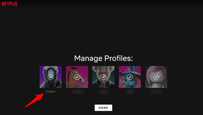 Selecting a profile from the Netflix account