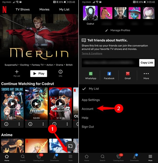Going to the Account link from the Netflix app for Android