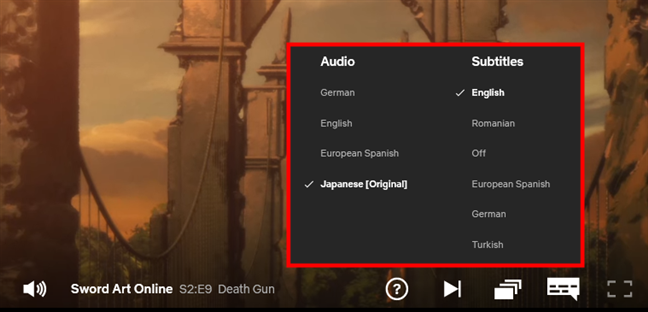 The Audio and Subtitles Netflix language options