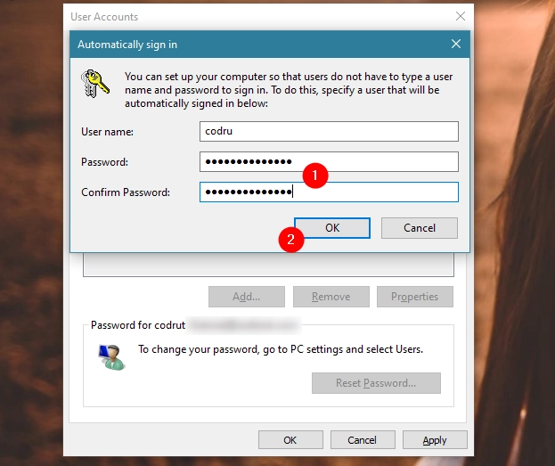Entering the password of the selected user account
