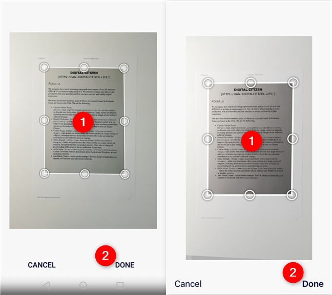 Cropping a scan in OneDrive