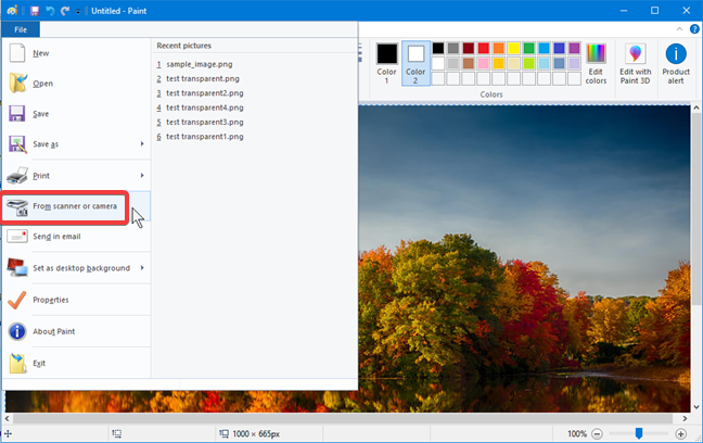 Import an image to Paint from a scanner or digital camera