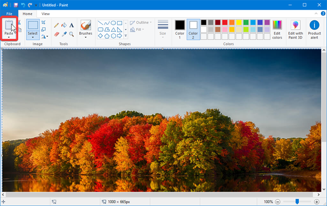Paste an image in Paint