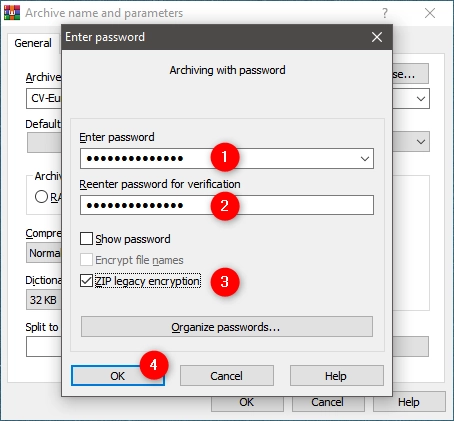 Entering the password for the ZIP file and choosing its encryption method