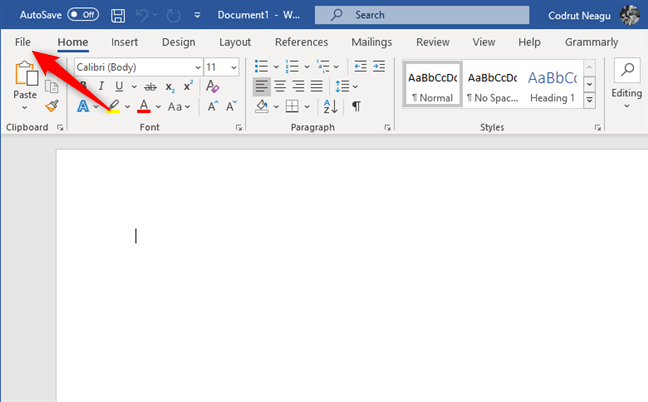 The File menu from Word