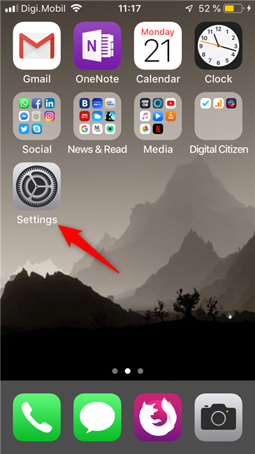 The Settings icon on the home screen of iOS
