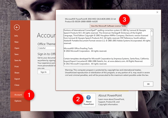 About PowerPoint in Microsoft Office 2016