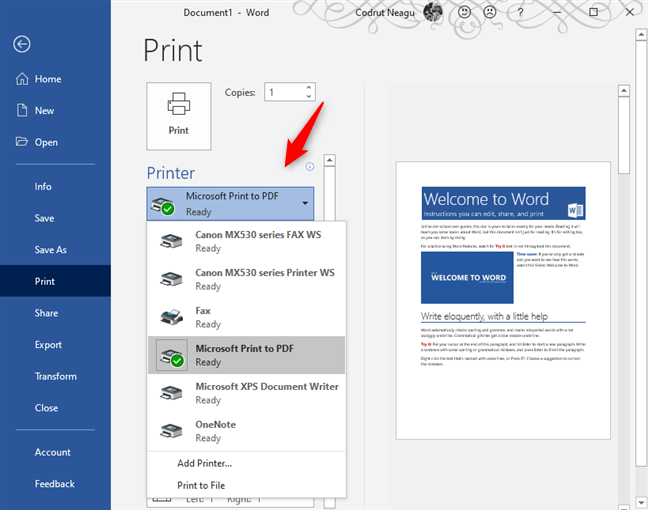 microsoft print to pdf page setup