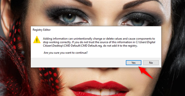 Registry Editor asks you if you want to add the new information to the Registry