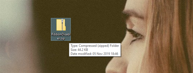 The RibbonDisabler.zip archive