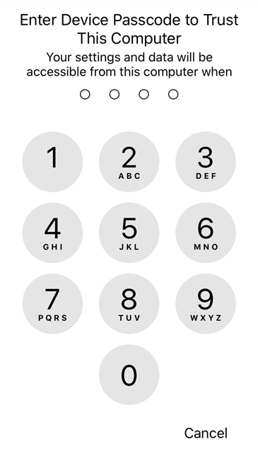 The iPhone asks for the PIN code