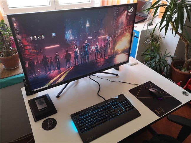 The ASUS ROG Swift PG43U on a (large) desk