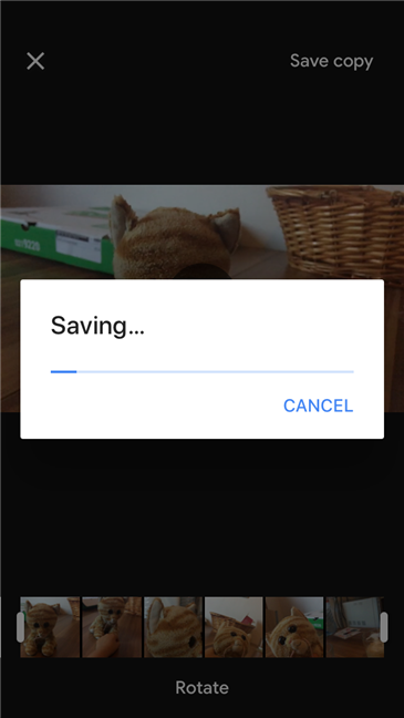 Google Photos saves the new video