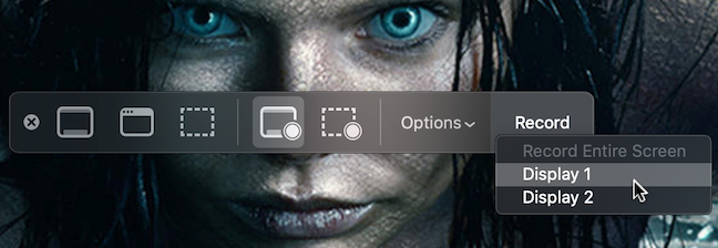 For multiple screens, choose the display to record from the drop-down menu