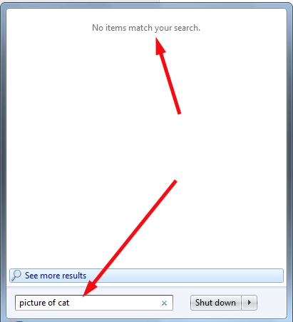 Natural Language Search in Windows 7