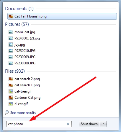 Natural Language Search in Windows 7