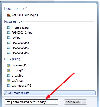 Natural Language Search in Windows 7