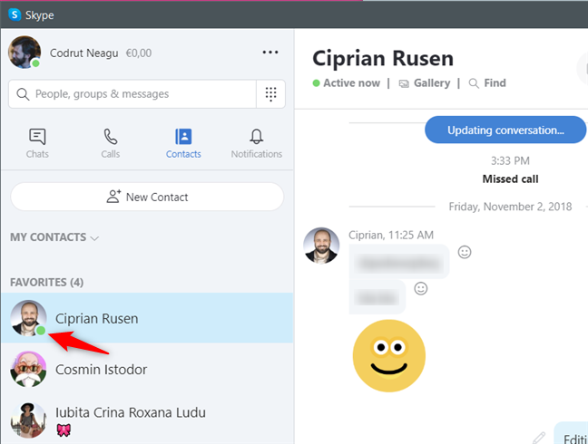 Online contacts are marked by Skype with a green icon